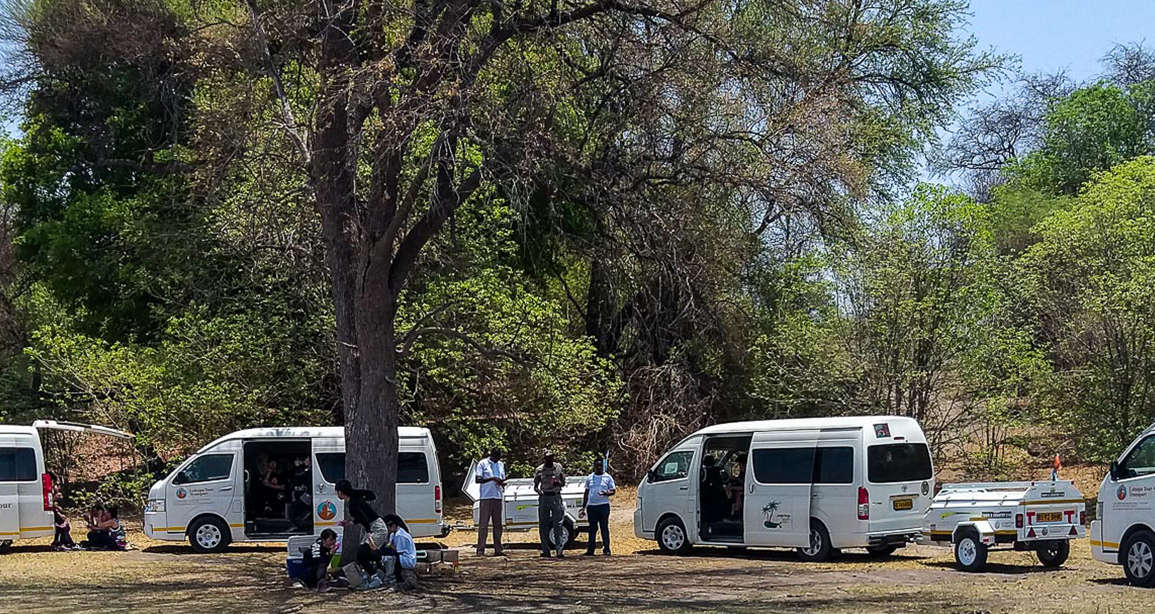 Campsite Arrivals