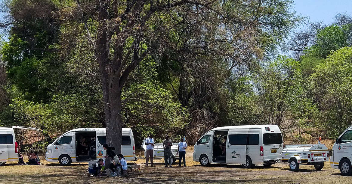 Campsite Arrivals
